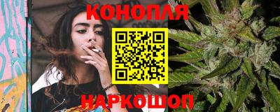 spice Кунгур