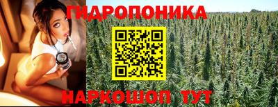 spice Кунгур