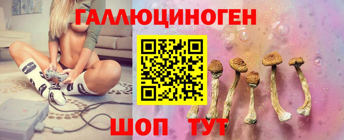 Галлюциногенные грибы MAGIC MUSHROOMS Зеленогорск