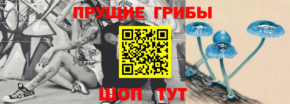 Псилоцибиновые грибы мухоморы  купить закладку  Зеленогорск  Вход с VPN 